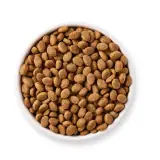 Yarrah Bio Hund Trockenfutter Senior Huhn · 1×10000g Sack