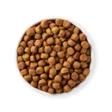 Yarrah Bio Hund Trockenfutter Erwachsene Huhn · 1×10000g Sack
