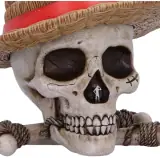 One Piece Luffy Jolly Roger Box [19.5 cm]