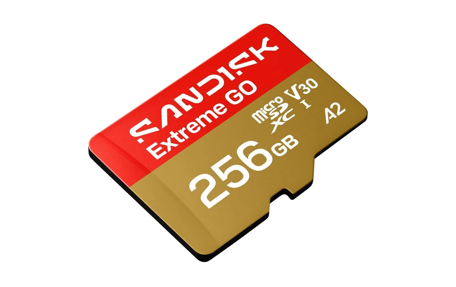 SanDisk microSDHC Card Extreme GO 256 GB